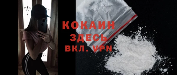 трава Магас