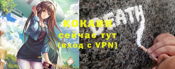трава Магас