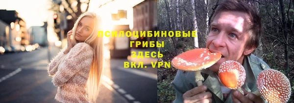 трава Магас