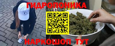 сатива Дубна