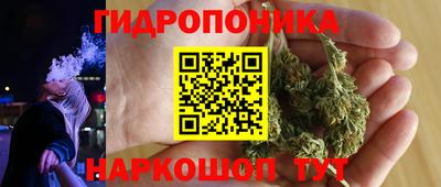 сатива Дубна