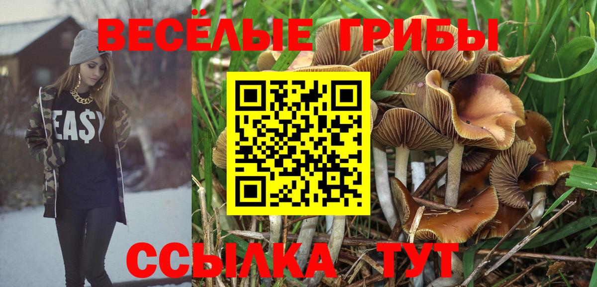 Галлюциногенные грибы прущие грибы  Вход с VPN  закладка  Грозный 