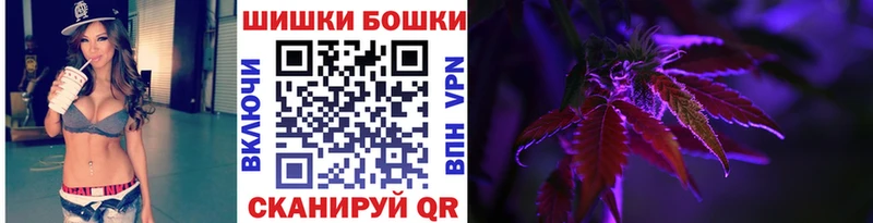 Бошки Шишки план  кракен зеркало  Грозный 