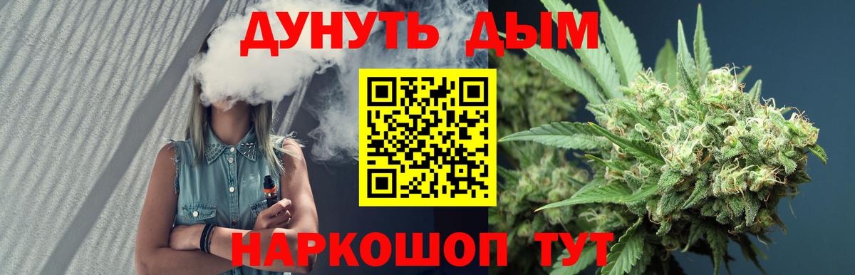 Грозный  Бошки марихуана марихуана  Вход с VPN  Шишки марихуана гибрид  Каннабис сатива 